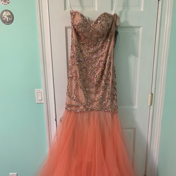 Terani couture prom dress, absolutely gorgeous on - Picture 1 of 10